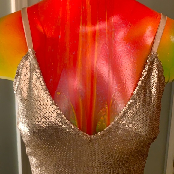 FASHION NOVA Flashy Dress - Picture 3 of 13